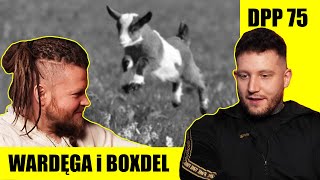 Wardęga i BOXDEL  szczera rozmowa czy zagrywka PRowa  Dzwoni Papuga Podcast 75 [upl. by Aidualk623]