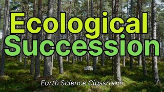 What Is Ecological Succession [upl. by Henrique]