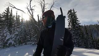 Telos Snowboards DST Splitboard Review [upl. by Onaicul282]