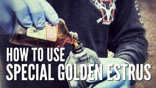 How to use Special Golden Estrus  Day Dripper [upl. by Aiepoissac]