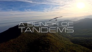 4K A Bunch of Tandems Hang Glider [upl. by Will449]