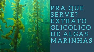 PRA QUE SERVE EXTRATO GLICÓLICO DE ALGAS MARINHAS [upl. by Doro942]