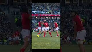 RG Snyman The Viking vs Portugal 2024 shorts rugby fighting [upl. by Alin302]