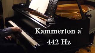 Kammerton a 442 Hz Schiedmayer amp Soehne [upl. by Cathrine]