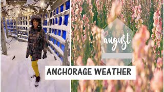 ANCHORAGE WEATHER  WHAT TO EXPECT AUGUST  ANCHORAGE ALASKA 2021 [upl. by Amby324]