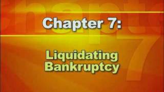 Bankruptcy Basics  Part 2 Types of Bankruptcy [upl. by Philbo]