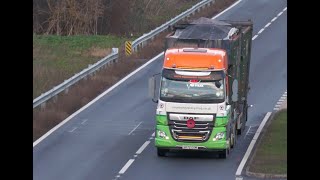 DAF XF  A1M motorway trucks spotting [upl. by Eceinej]