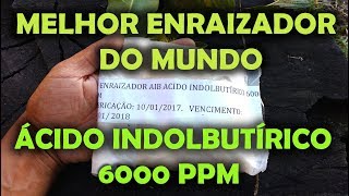 ÁCIDO INDOLBUTÍRICO 6000 PPM  ENRAIZADOR EM PÓ 6000 PPM [upl. by Zumwalt904]