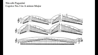 N Paganini Caprice N5 in A minor [upl. by Nylarac]