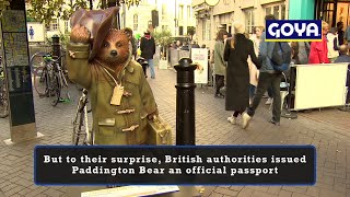 Paddington Bear receives real British passport [upl. by Anasxor508]