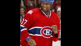 Georges Laraque NHL Fights [upl. by Bolten]