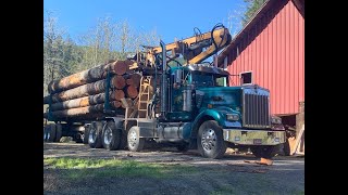 Riley Watkins Loading A Load of Logs at David Hulls Home Place [upl. by Bradeord]