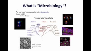 Flow cytometry in microbiological research [upl. by Annahsad]