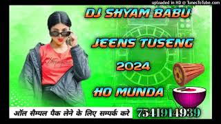 Jeens Tuseng kodo mahi bage tame New ho Munda song 2024 dama dumeng style orginal DJ Shyam Babu [upl. by Warton571]