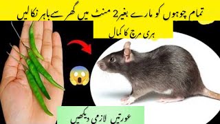 Get rid of mouseChuhe baghane ka tarikaRat killer trickRat killerkitchen tips [upl. by Calia678]