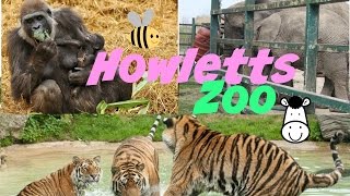 Howletts Zoo [upl. by Atnoek]