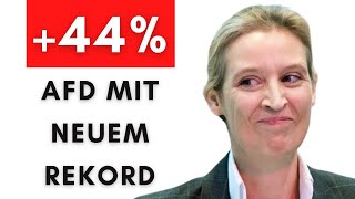 SachsenAnhalt AfD räumt ab – Grüne amp Linke fliegen raus [upl. by Atnuahsal161]