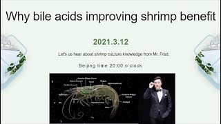 Why the bile acids improving shrimp culture benefit Lets hear about Mr Fred how to said [upl. by Werra]