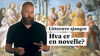 Hva er en novelle [upl. by Janerich]