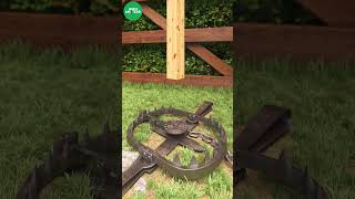 Grizzly Bear trap in action shorts trap bear [upl. by Paulsen34]