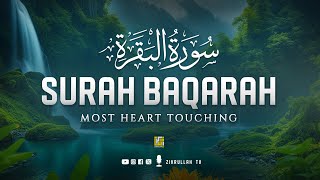 Worlds most relaxing HEART TOUCHING Surah AlBaqarah Full سورة البقره  Zikrullah TV [upl. by Bandur]