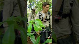 The men scream at a snake  The Island with Bear Grylls [upl. by Mairb]