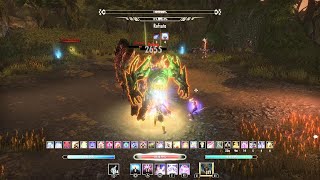 ESO EZ Heavy Attack Sorcerer Vateshran Hollows 297k Run [upl. by Yldarb]