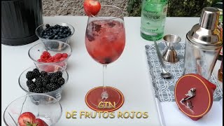 COCKTAIL GIN DE FRUTOS ROJOS [upl. by Hoag]