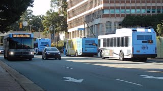 Bus Observations of Central North Carolina September 2019  Part 22 [upl. by Bloch537]