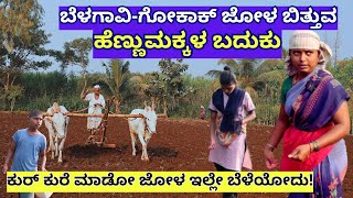 FARM TOURಗೋಕಾಕ್ ನ ದುರದುಂಡಿ ಗ್ರಾಮದಲ್ಲಿ ಜೋಳ ಬಿತ್ತುವ ಹೆಣ್ಣುಮಕ್ಕಳ ಬದುಕುKalamadhyamaAgriculture [upl. by Martelli]