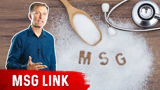 Chronic Pain and Monosodium Glutamate MSG [upl. by Gabriell]