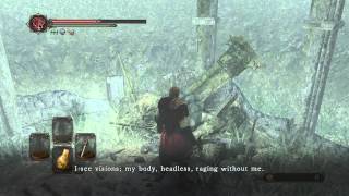 Dark Souls 2  Finding Vengarls Head AchievementTrophy [upl. by Malonis]