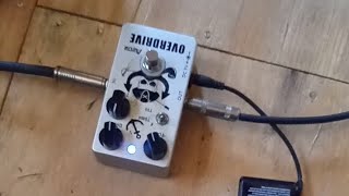 3 Reasons You Should Buy This Tube Screamer [upl. by Aihsital623]