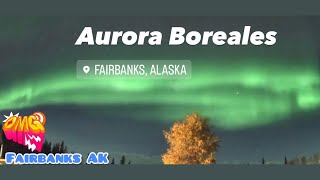 Aurora Boreales Fairbanks Alaska [upl. by Amak414]