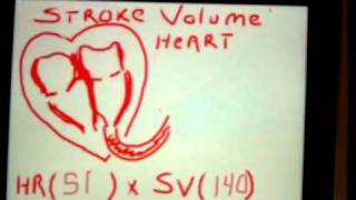 What is Cardiac Output [upl. by Eno939]