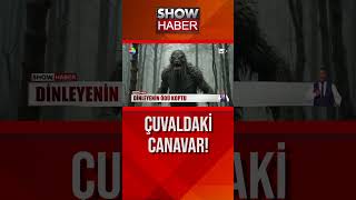 Canavar vahşi yırtıcı showanahaber shorts [upl. by Adnomal]