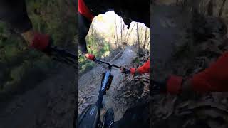 MTB Trail del nespolo  Monte san Pietro Full run [upl. by Prior]