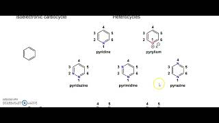 Heterocyclic Compounds [upl. by Kayley]