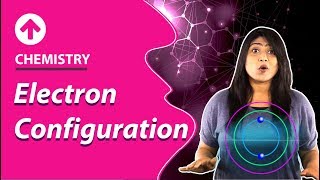 Electron Configuration  Structure of Atom  Chemistry  Class 9 [upl. by Daniella979]