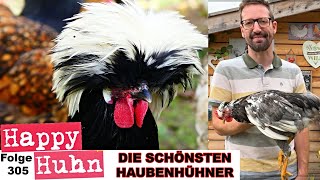 TOP10 Die schönsten Haubenhühner  Pflege von Hühnerrassen mit Haube und Schopf  HAPPY HUHN E305 [upl. by Neetsuj]