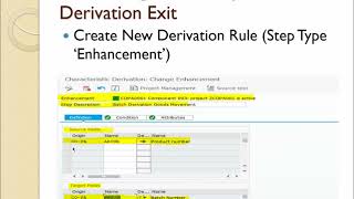 Controlling Profitability Analysis COPA Derivation Rules Enhancement [upl. by Rebmaed565]