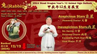 2024 Chinese Zodiac Outlook  The Rabbit [upl. by Eldnar336]