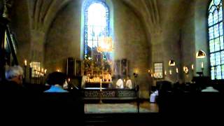 Lutheran pontifical high mass 2  Misa Luterana Pontificio 2 [upl. by Nilyad574]