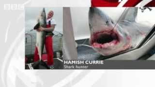 BBC News  Fisherman Hamish Currie in tug of war tussle with shark [upl. by Fred]