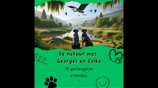 Promovideo De natuur met Georges en Daiko Deel 3  10 gevleugelde vrienden [upl. by Aynwat406]