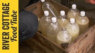 Home Made Alcoholic Ginger Beer in just 2 days with Yeast recipe Lockdown Special [upl. by Ronnoc]