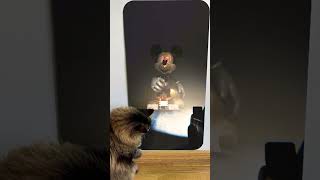 Cat reaction to 😱 mickey mouse s clubhouse 💀😲Skibidi Toilet Song shorts monster creepy scary [upl. by Laen]