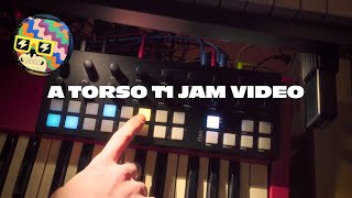 A pure hardware synth Torso T1 jam [upl. by Olotrab]