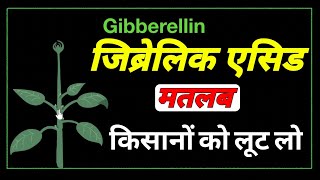 gibberellic acid function in plants।how does gibberellic acid affect plant growth। [upl. by Ramyaj]