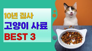 10년 집사 고양이 사료 BEST 3 [upl. by Catarina]